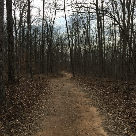 Ashes to Ashes, Dust to Dust - Picture 7 of 9